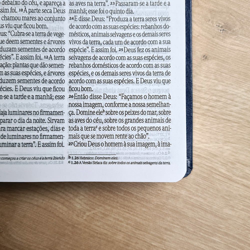 Bíblia Sagrada | NVI | Letra Grande | Capa Luxo Azul