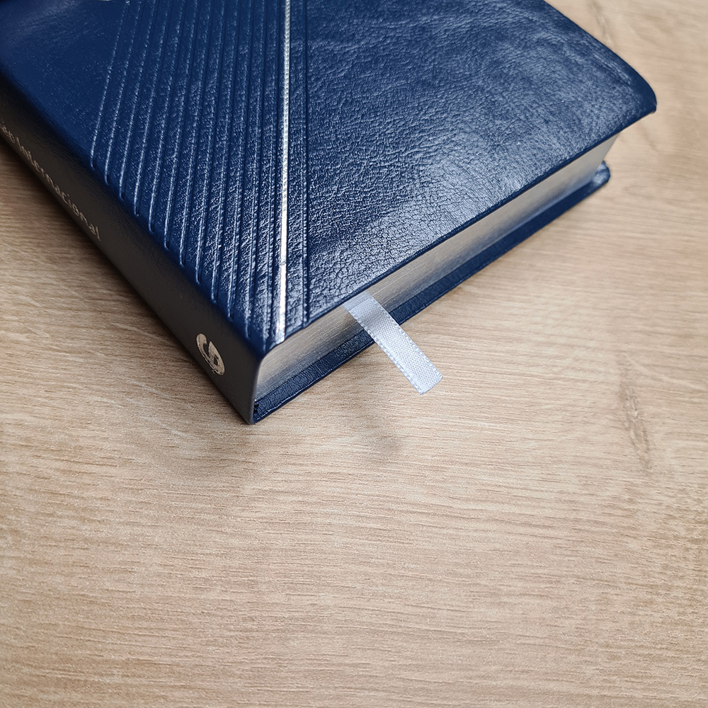 Bíblia Sagrada | NVI | Letra Grande | Capa Luxo Azul