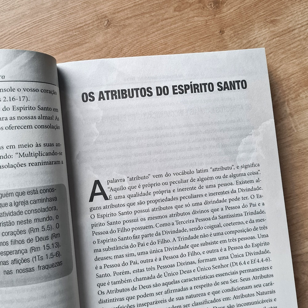 O Mover do Espírto Santo na Terra | Erivaldo de Jesus