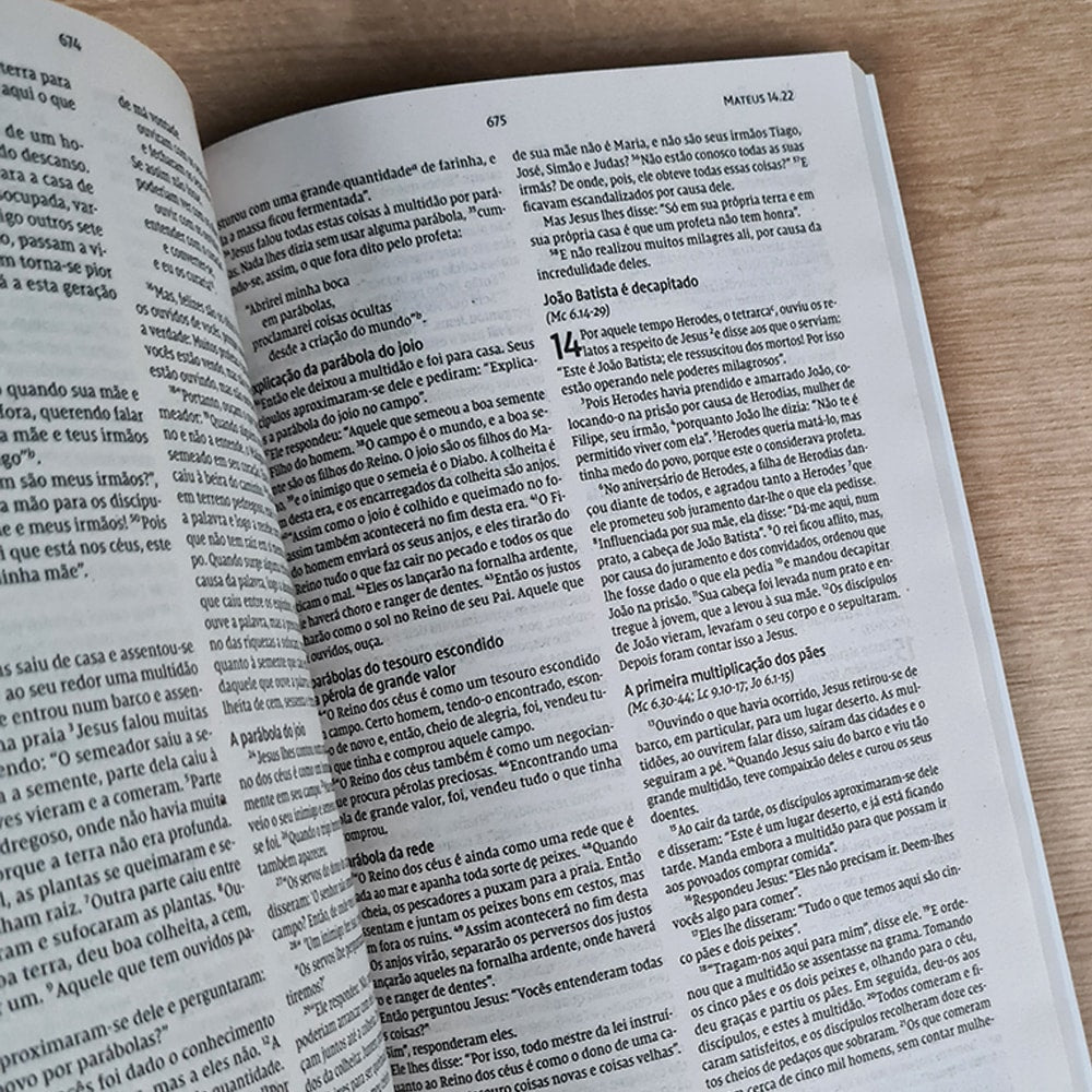 Biblia Sagrada Leão Pop | NVI | Letra Normal | Capa Brochura