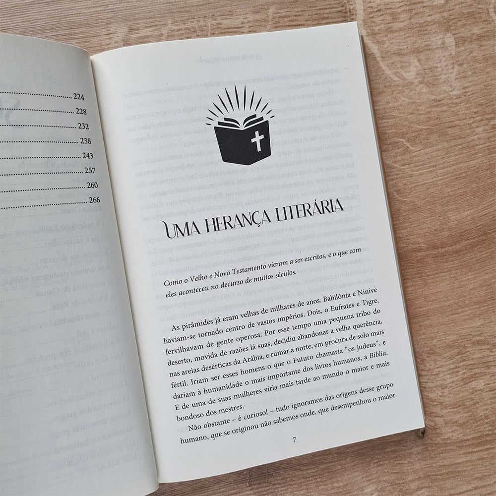A História da Bíblia | Hendrik W Van Loon