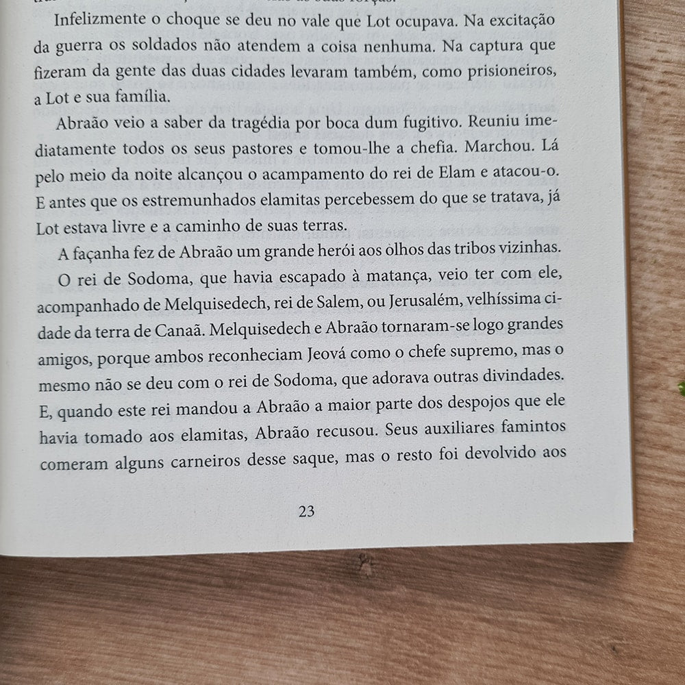 A História da Bíblia | Hendrik W Van Loon