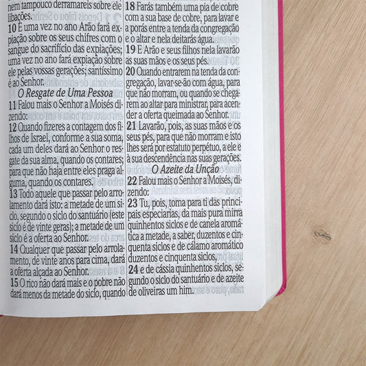 Bíblia Sagrada com Harpa Avivada e Corinhos | ARC | Letra Jumbo | Capa Semiflexível Pink