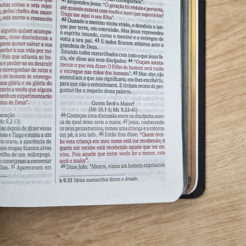 Bíblia Sagrada Leão Azul | NVI | Letra Normal | Capa Dura