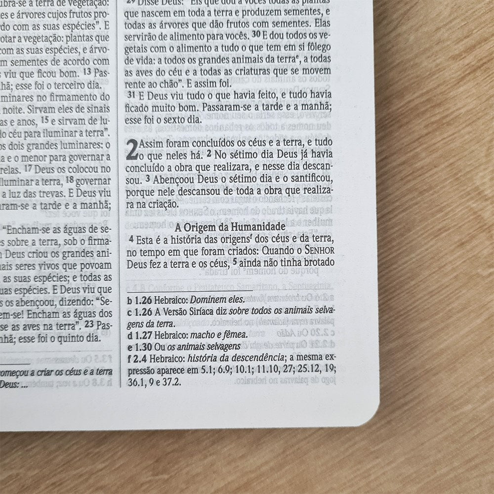 Bíblia Sagrada Leão Azul | NVI | Letra Normal | Capa Dura