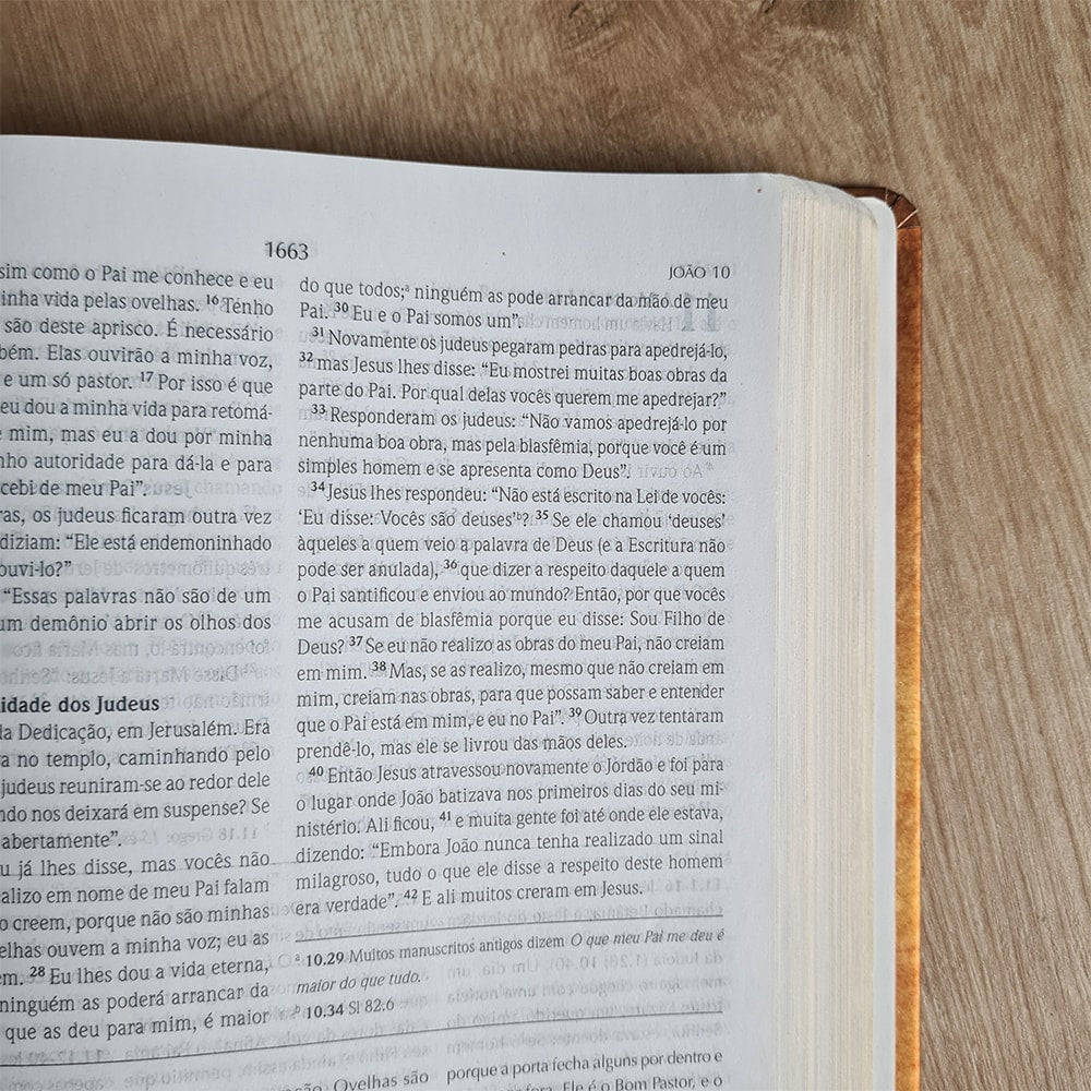 Bíblia de Estudo Wiersbe | NVI | Capa Dura Clássica