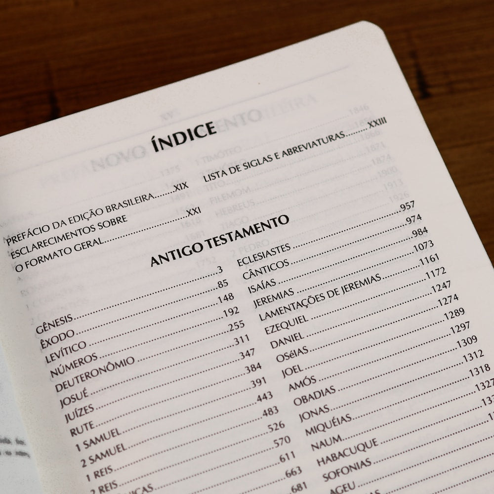 Bíblia Campo de Batalha da Mente | NVA | Letra Normal | Capa Luxo Vermelha