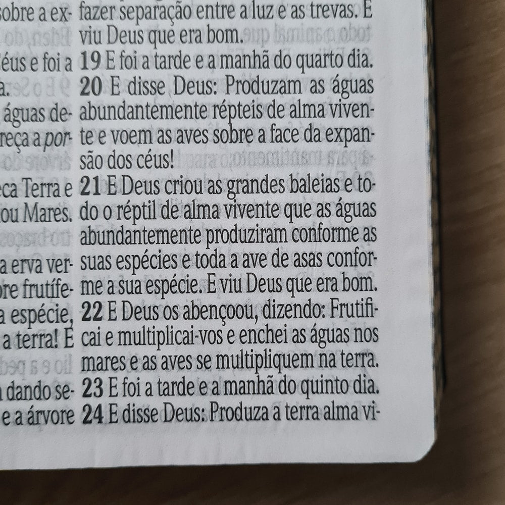 Bíblia Sagrada Letra Jumbo | ARC | Capa Luxo Estrela Azul