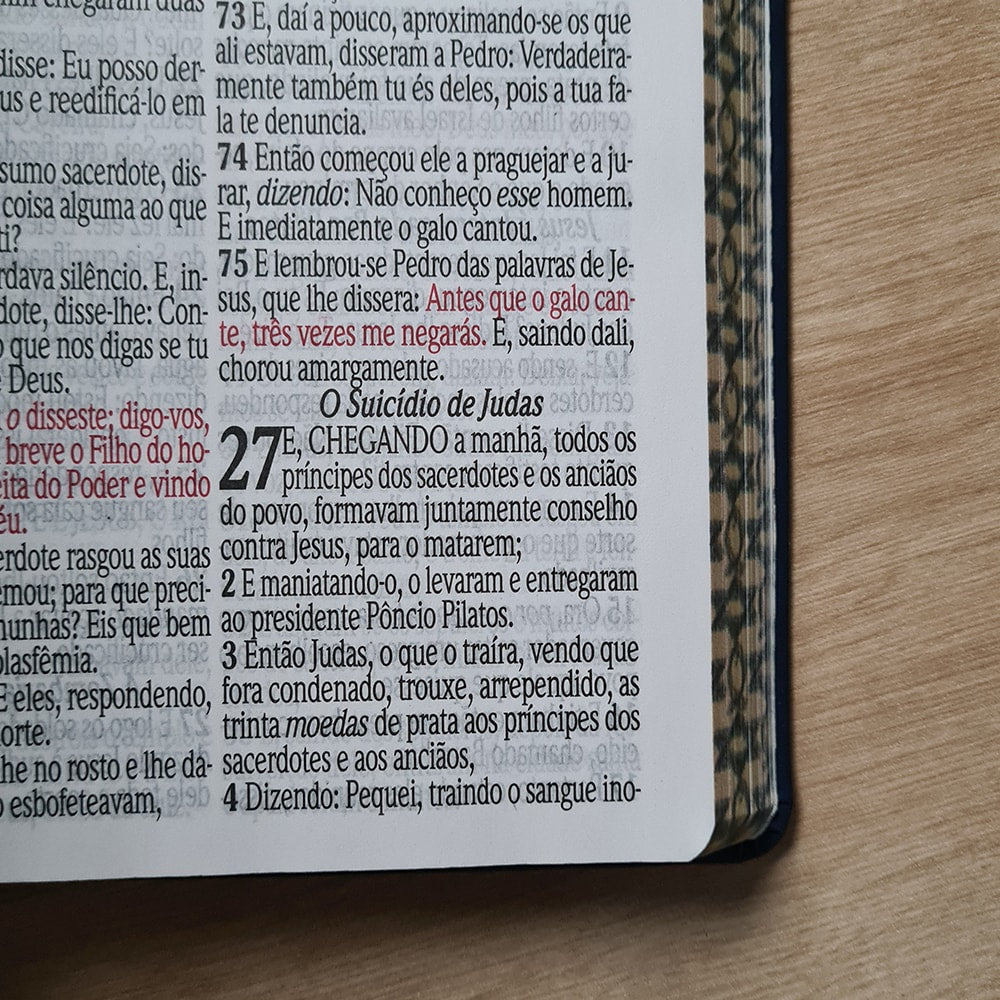 Bíblia Sagrada Letra Jumbo | ARC | Capa Luxo Estrela Azul