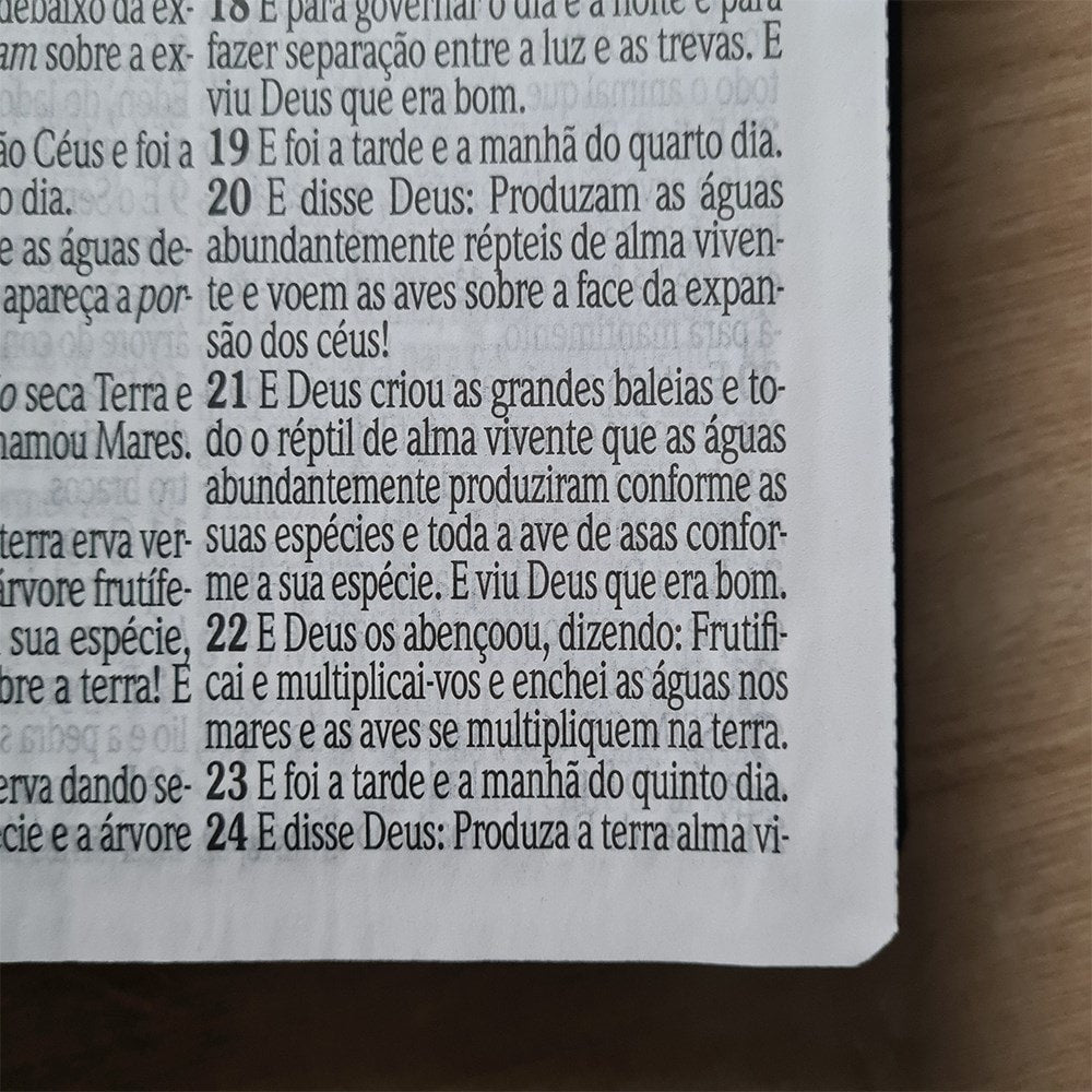 Bíblia Sagrada Letra Jumbo | ARC | Capa Luxo Arabesco Azul