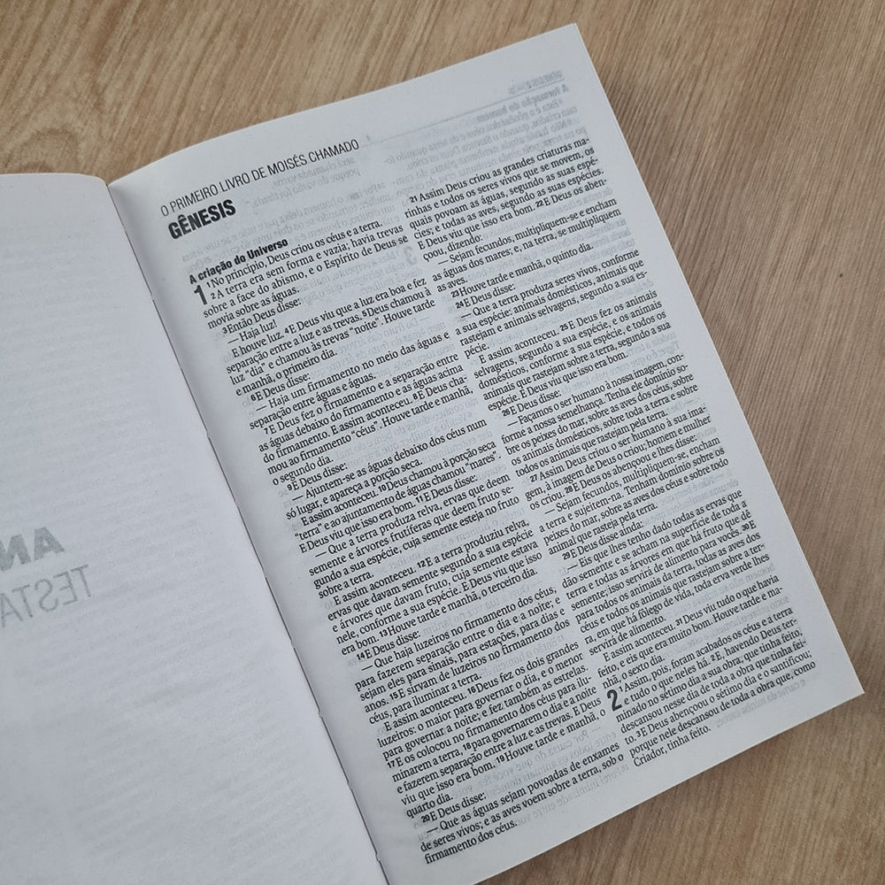 Bíblia Sagrada Rosas | NAA | Letra Normal | Capa Dura