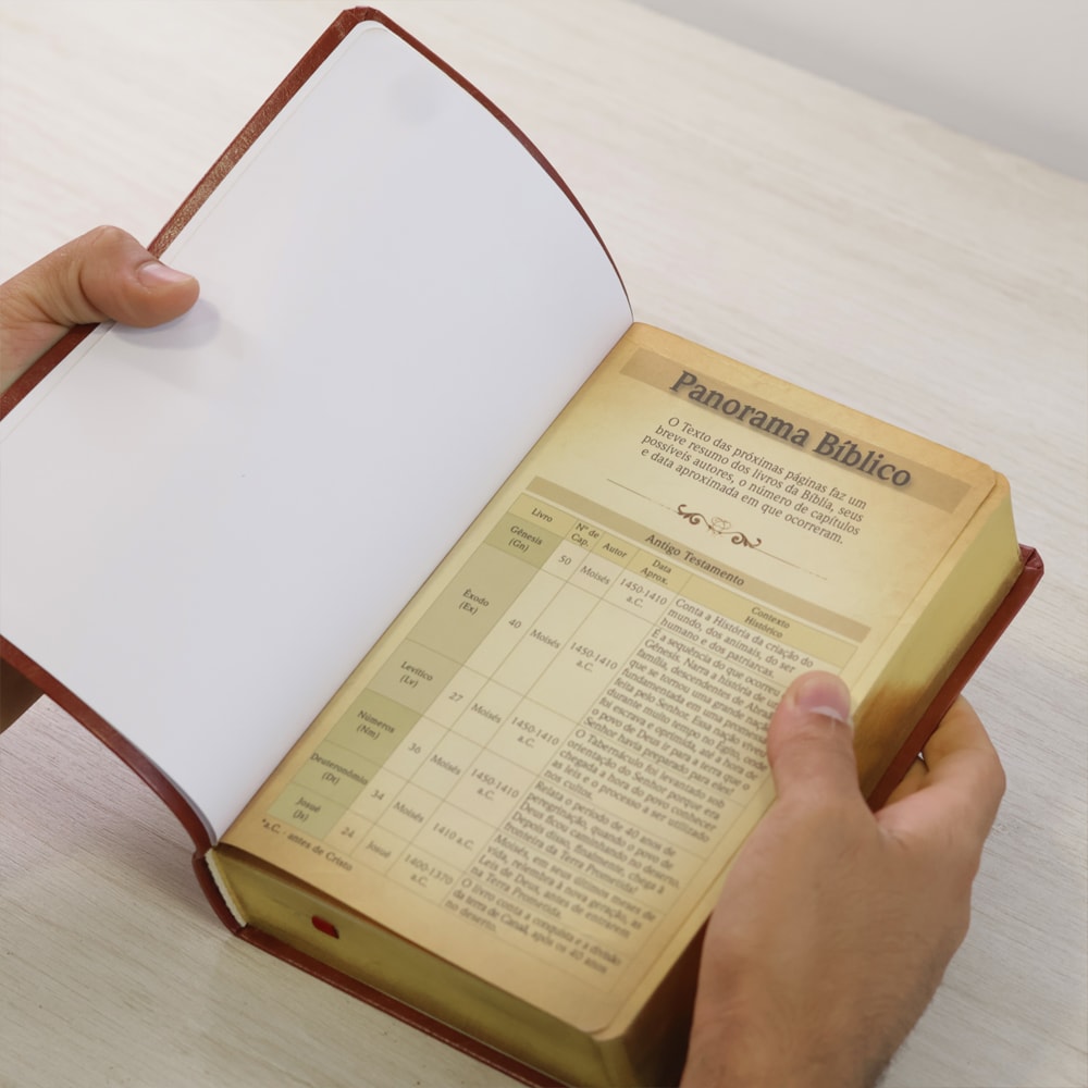 Bíblia do Culto com Harpa Cristã e Corinhos | ARC | Letra Gigante | Capa Semi-flexível Marrom