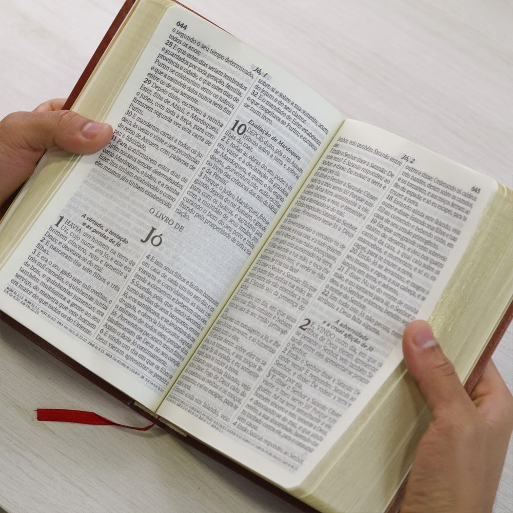 Bíblia do Culto com Harpa Cristã e Corinhos | ARC | Letra Gigante | Capa Semi-flexível Marrom