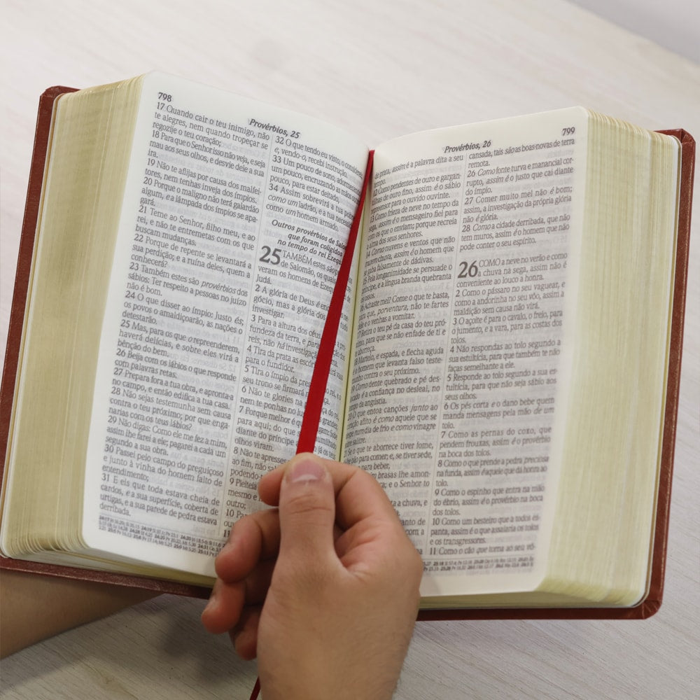 Bíblia do Culto com Harpa Cristã e Corinhos | ARC | Letra Gigante | Capa Semi-flexível Marrom