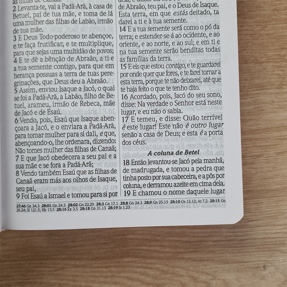 Bíblia do Culto com Harpa Cristã e Corinhos | ARC | Letras Maiores | Capa Semi-flexível Floral Rosa