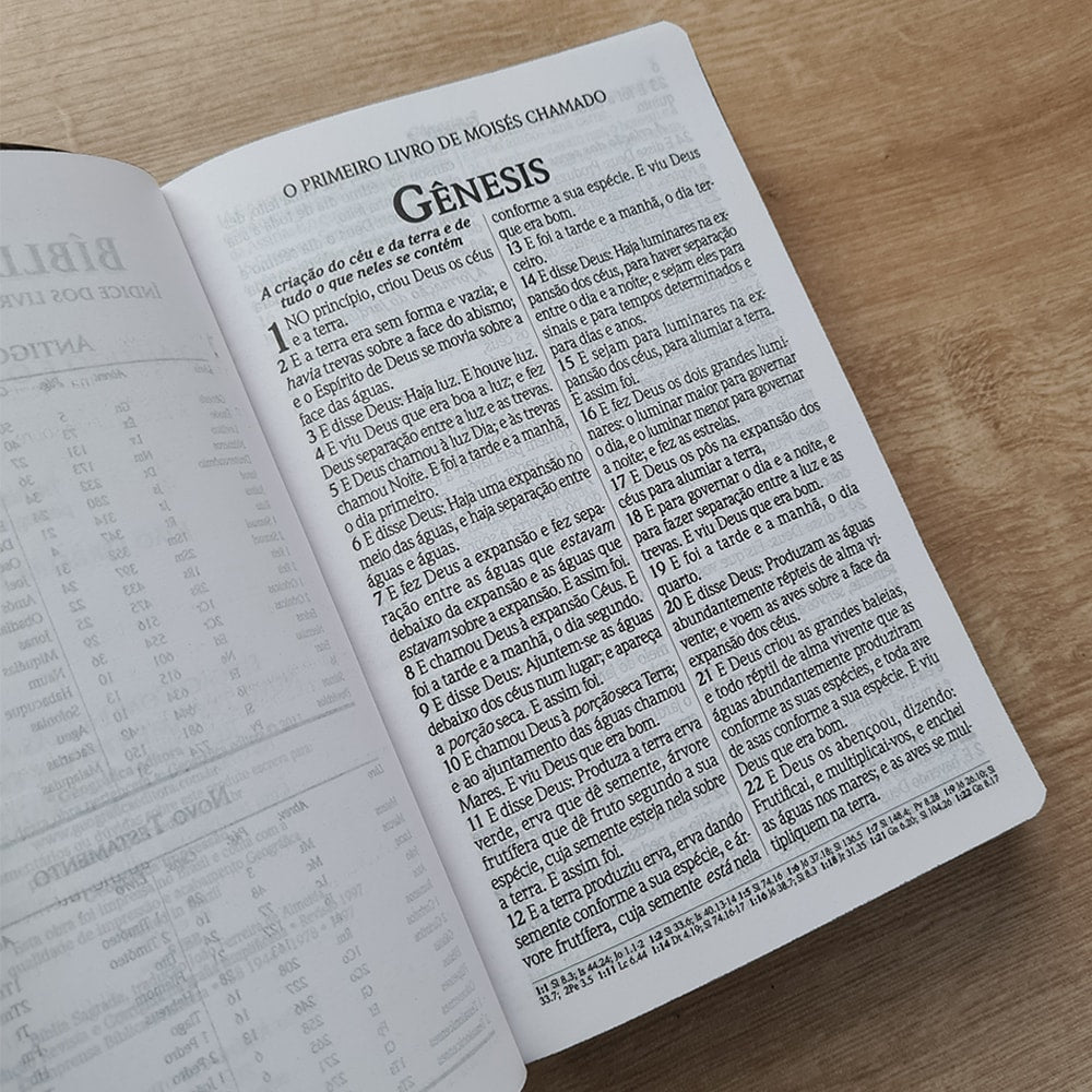 Bíblia do Culto com Harpa Cristã e Corinhos | ARC | Letras Maiores | Capa Semi-flexível Leão