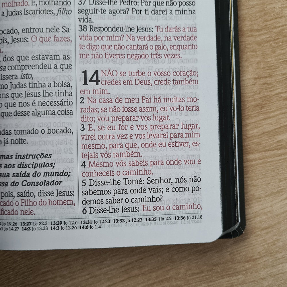 Bíblia do Culto com Harpa Cristã e Corinhos | ARC | Letras Maiores | Capa Semi-flexível Leão