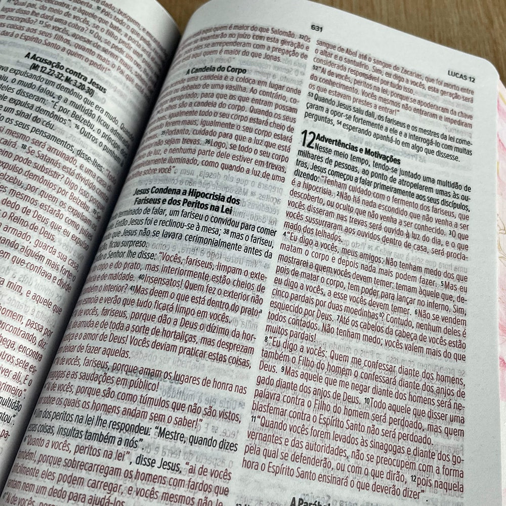 Bíblia Sagarda Dar-te Graças | NVI | Letra Normal | Capa Dura