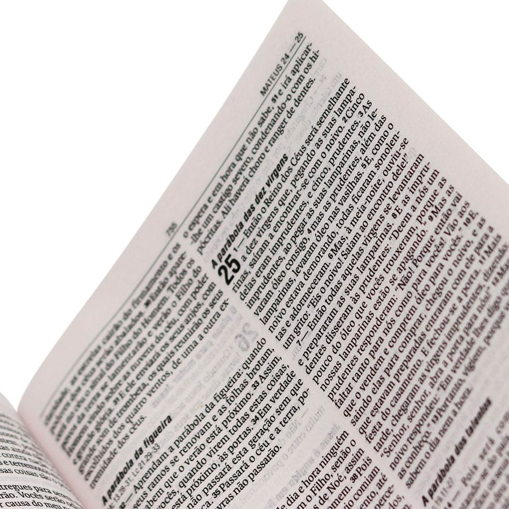 Bíblia Sagrada | NAA | Letra Normal | Capa Brochura Cinza