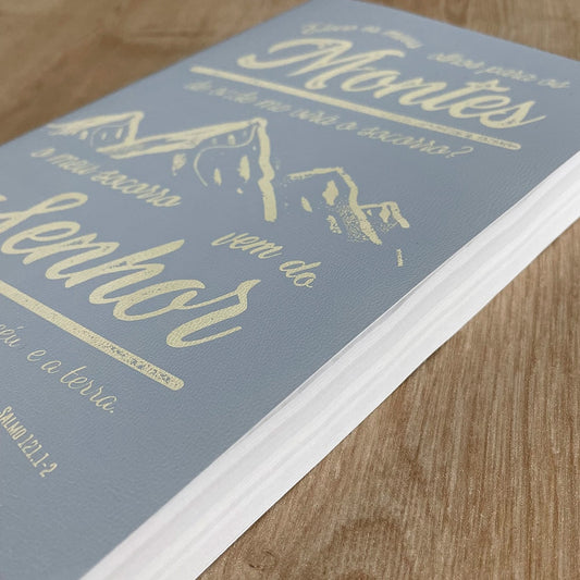 Bíblia Sagrada | NAA | Letra Normal | Capa Brochura Cinza