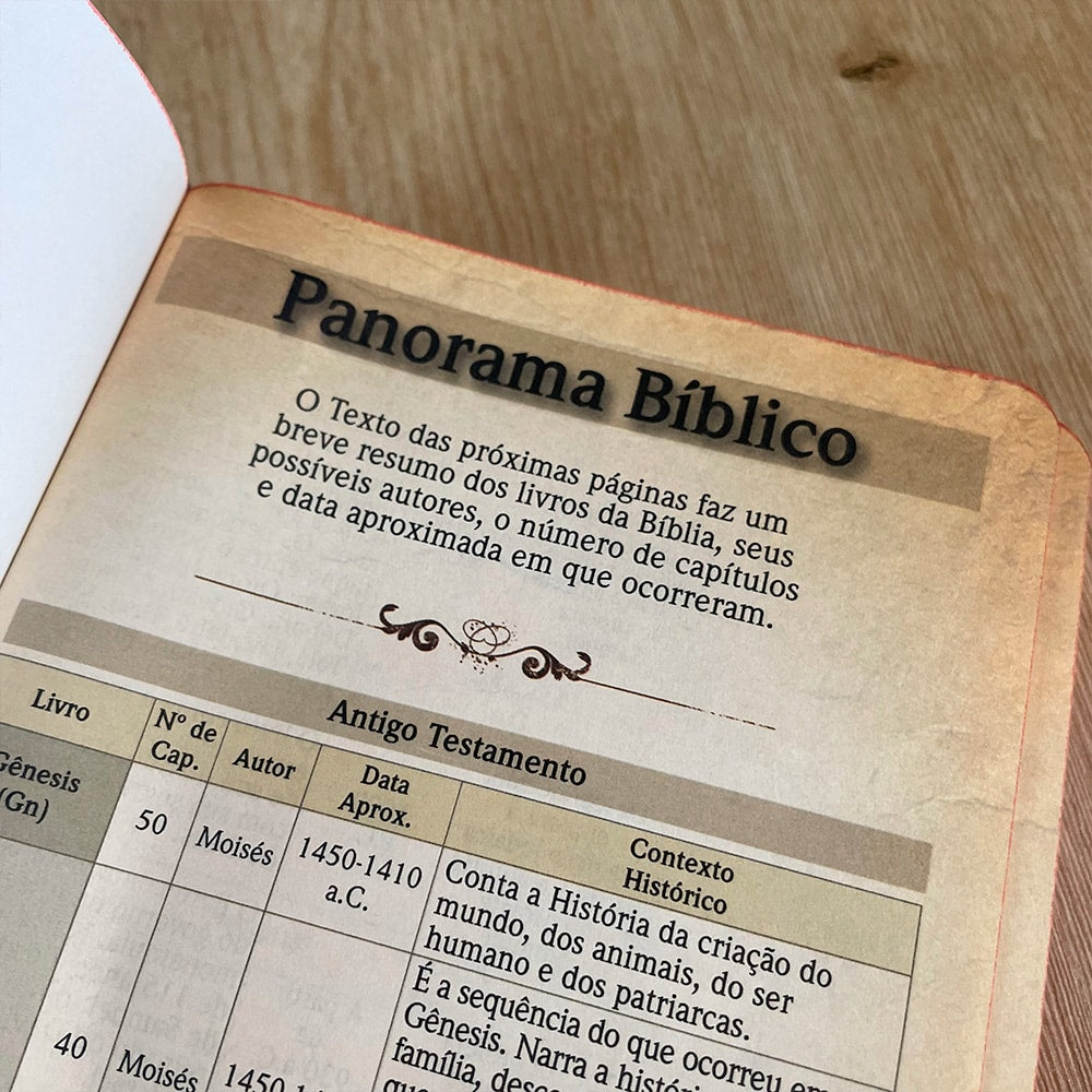Bíblia Sagrada Tarde Colorida | NVT | Letra Grande | Capa Dura