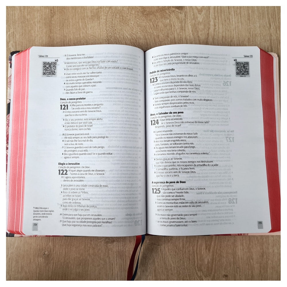 Bíblia Sagrada | NTLH | YouVersion | Capa Dura The Lion Colorida