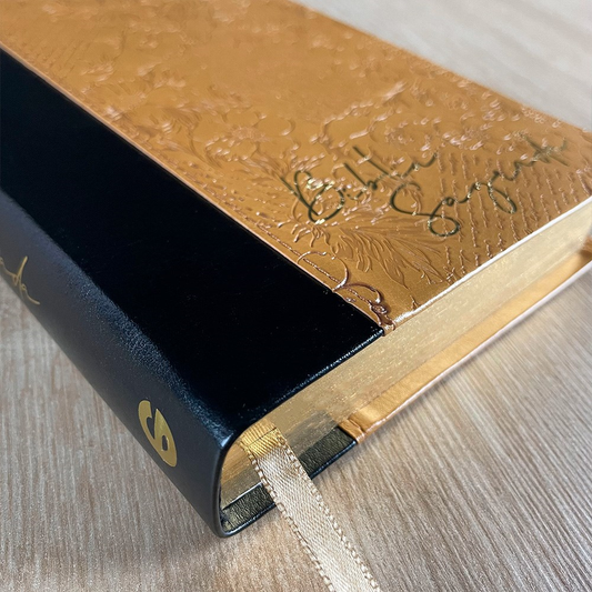 Bíblia Sagrada | NVT | Letra Grande | Capa Luxo Duotone