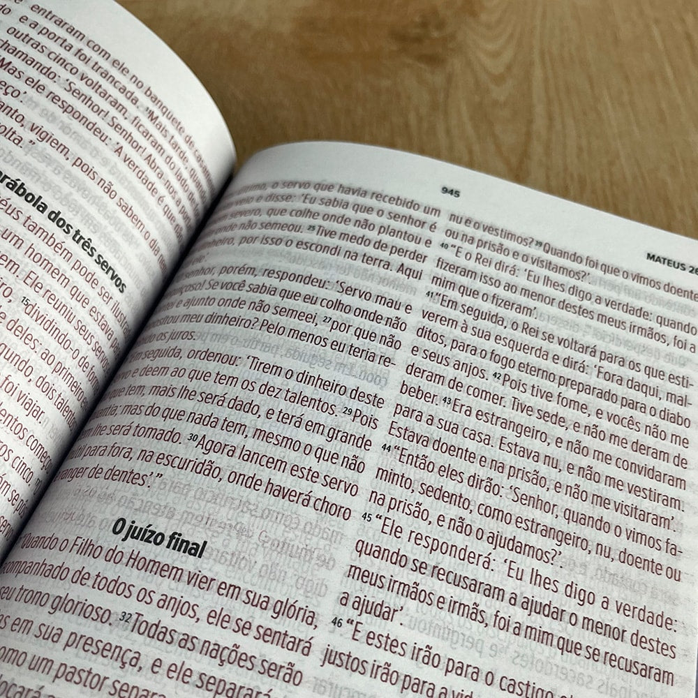 Bíblia Sagrada | NVT | Letra Grande | Capa Luxo Fendi