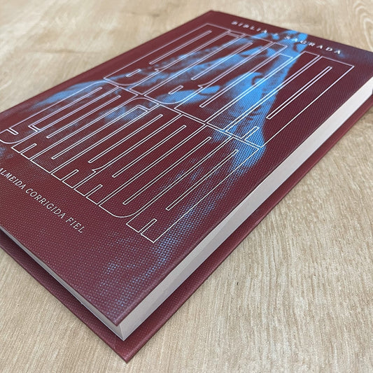 Bíblia Sagrada | ACF | Leitura Perfeita | Capa Dura Oração