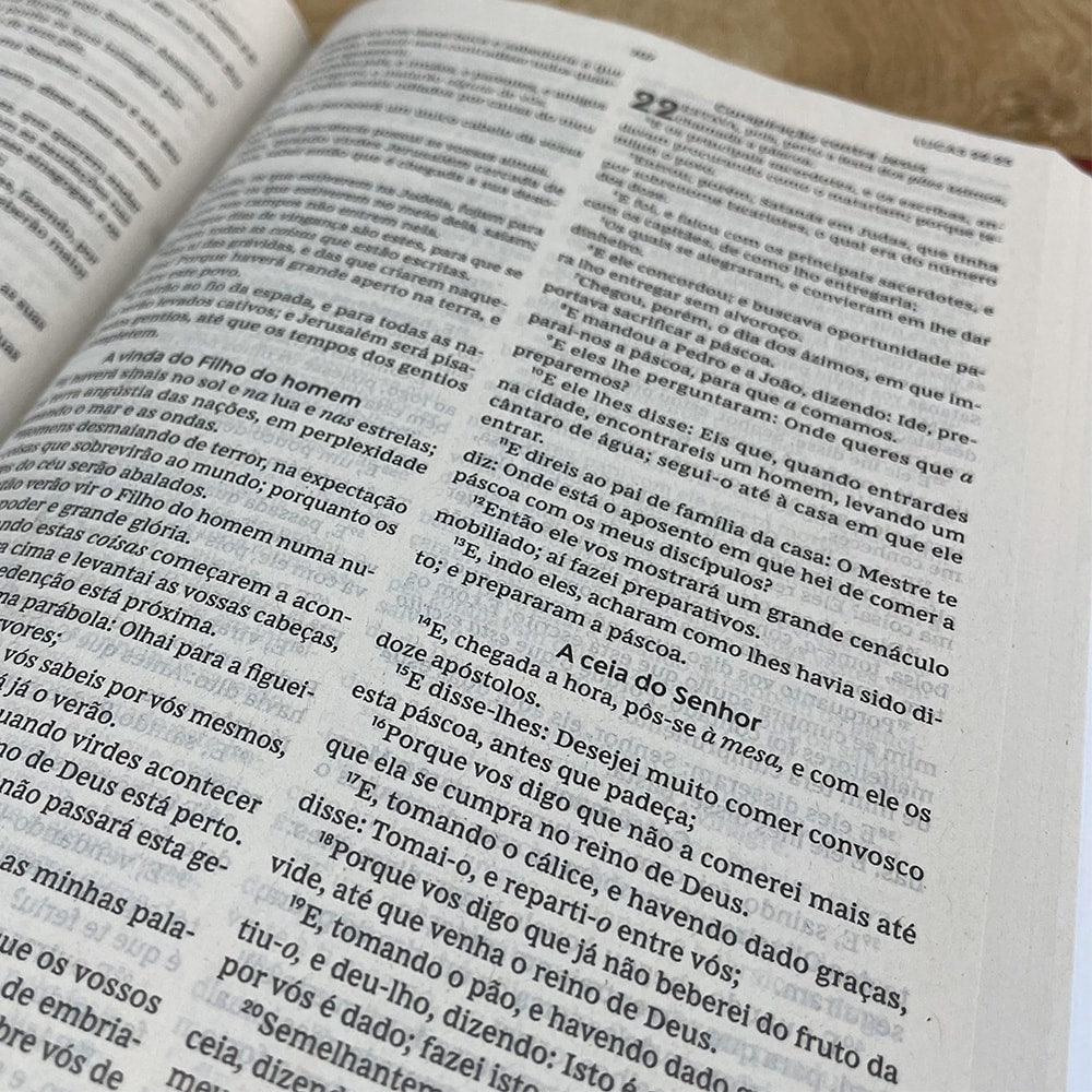 Bíblia Sagrada | ACF | Leitura Perfeita | Capa Dura Oração