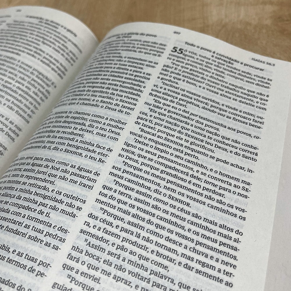 Bíblia Sagrada | ACF| Leitura Perfeita | Brochura Verde e Hush Pink