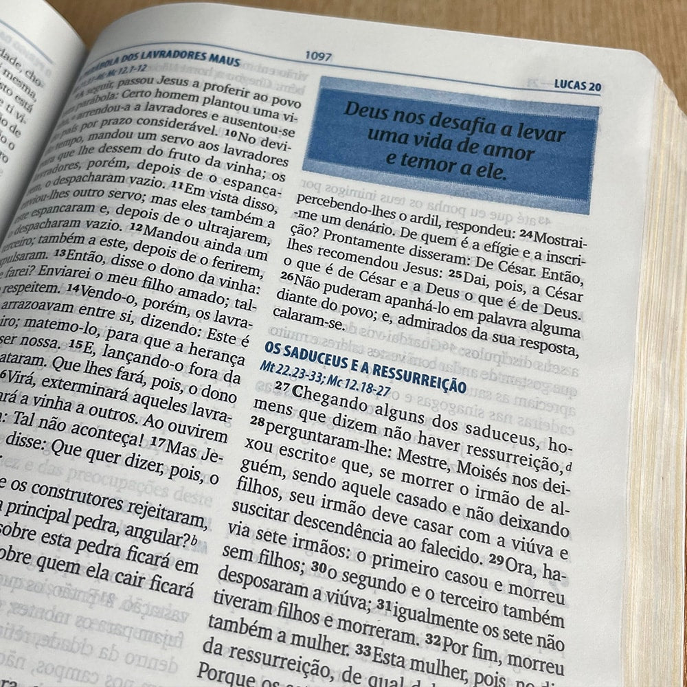 Bíblia da Família | ARA | Letra Normal | Capa Luxo Branco e Marrom