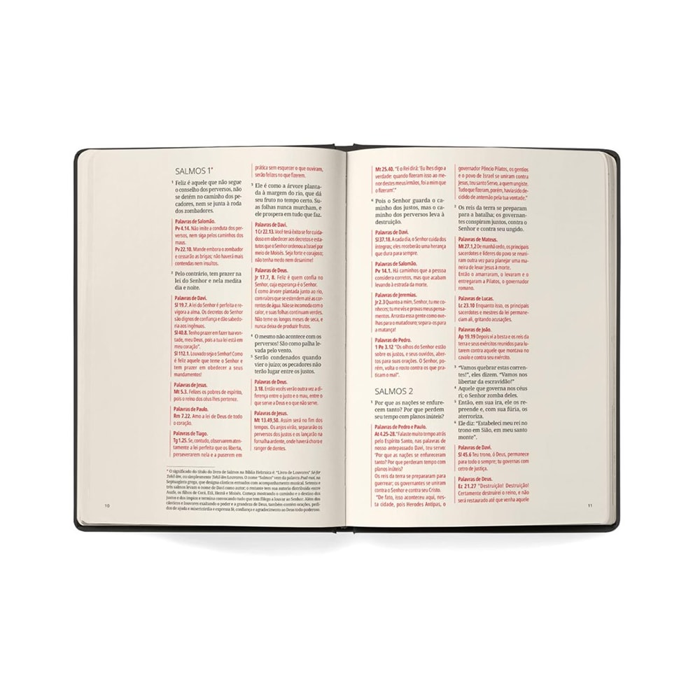 Bíblia Contexto | Salmos e Provérbios | NVT | Capa Dura | Davi e Salomão