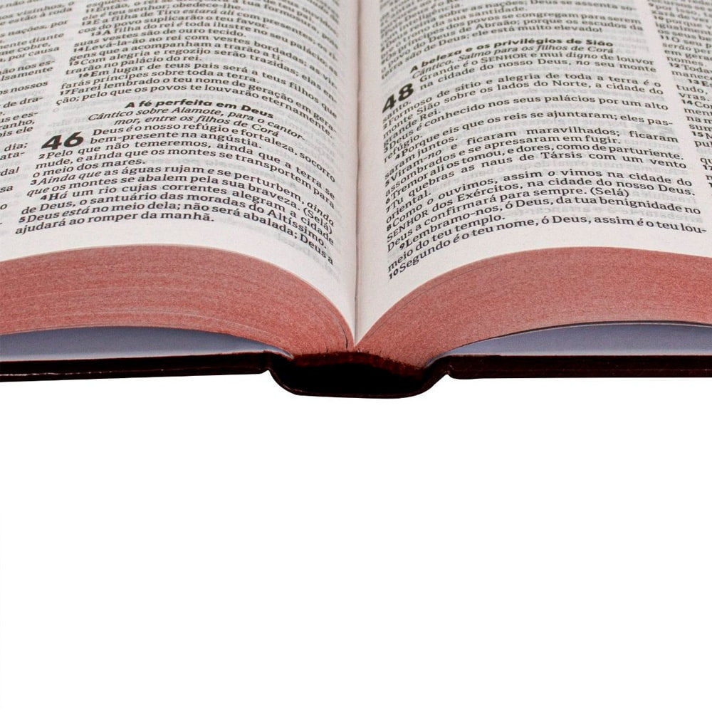 Bíblia Sagrada Flores | ARC | Letra Normal | Capa Dura Evangelismo