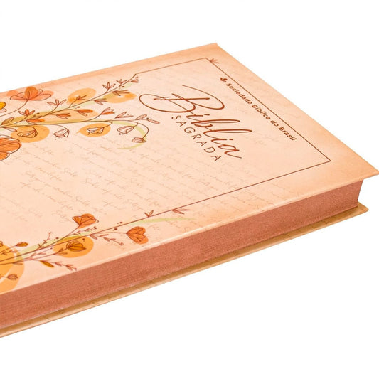 Bíblia Sagrada Ilustrada Ramos | ARC | Letra Normal | Capa Dura Evangelismo