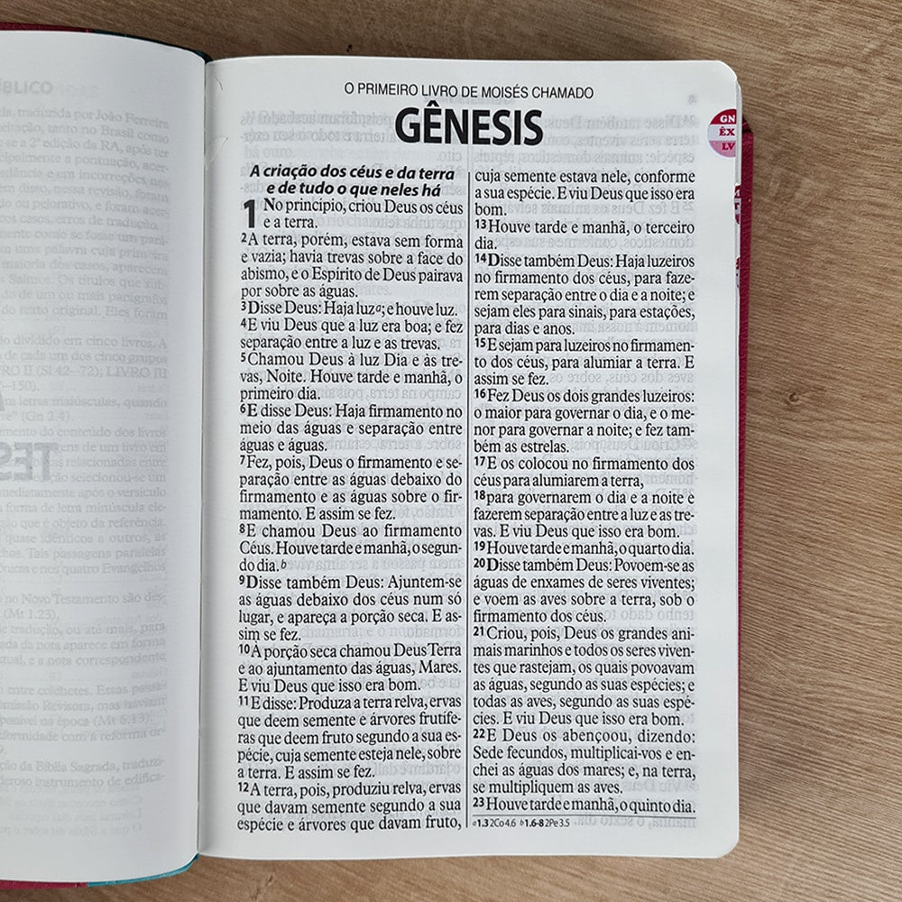 Bíblia Sagrada | ARA | Letra Gigante | Capa Turquesa e Pink C/ Índice