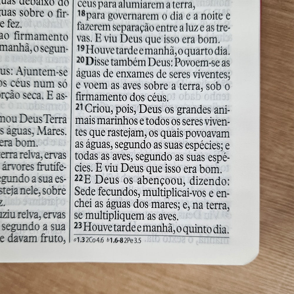 Bíblia Sagrada | ARA | Letra Gigante | Capa Turquesa e Pink C/ Índice