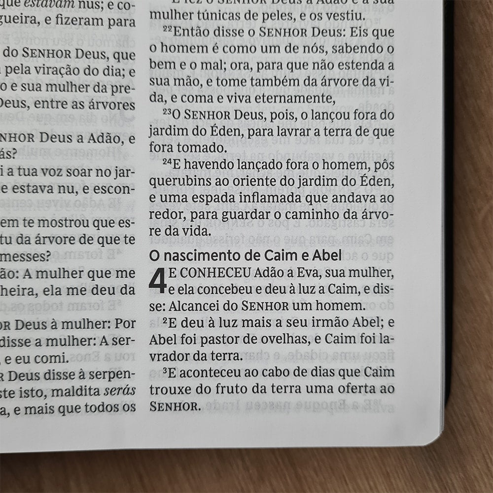 Bíblia Sagrada | ACF | Leitura Perfeita | Couro Soft Preto