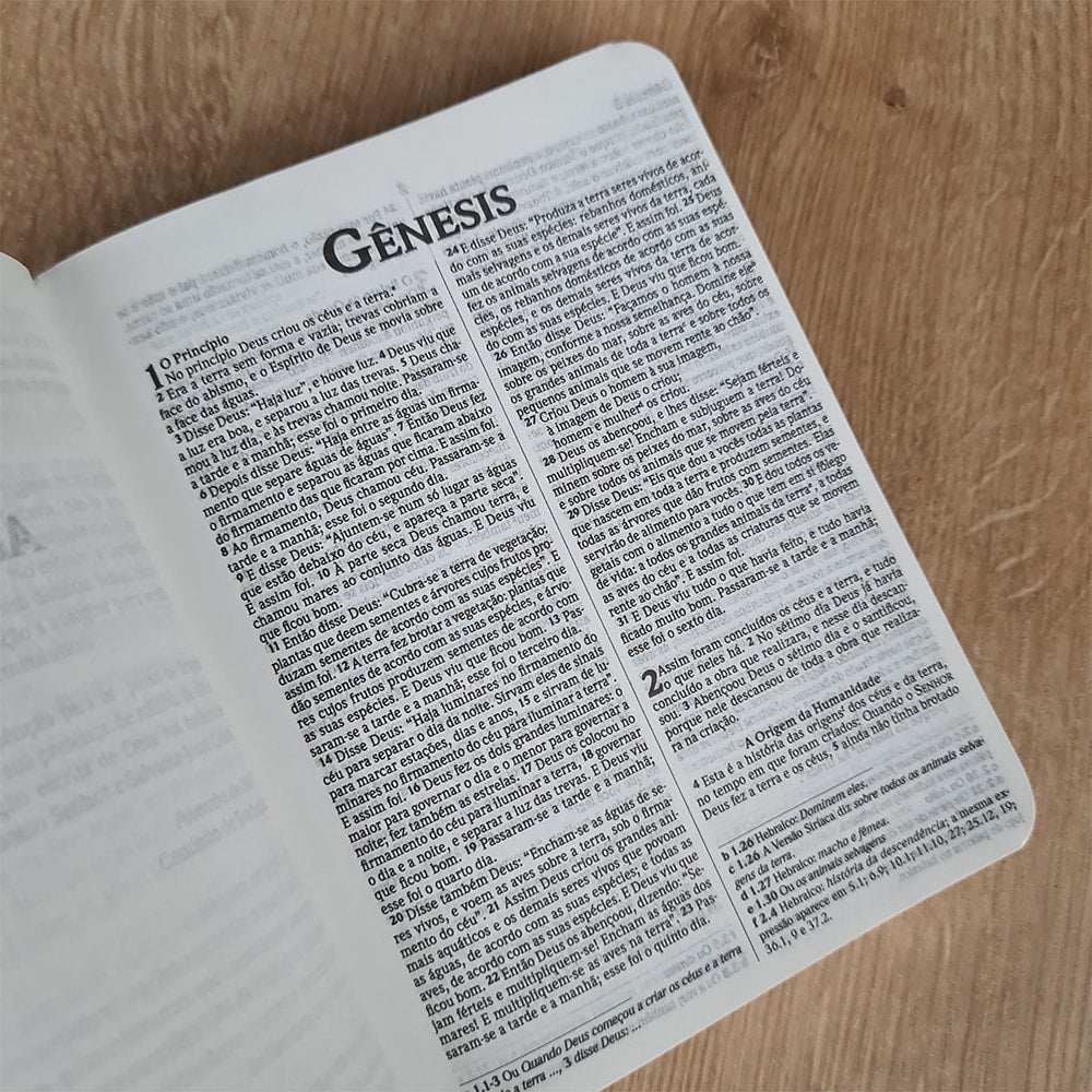 Bíblia Sagrada Média Ame o Senhor seu Deus | NVI | Brochura