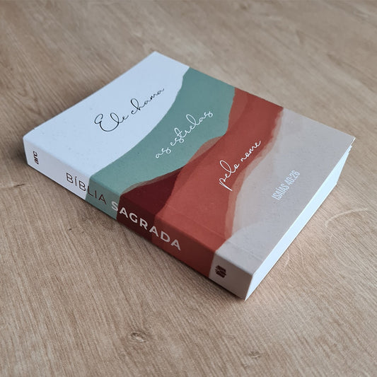 Bíblia Sagrada Média Minimalista | ARC | Brochura