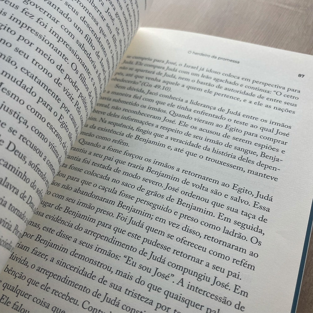 Encontrando Cristo no Antigo Testamento | Edmund Clowney