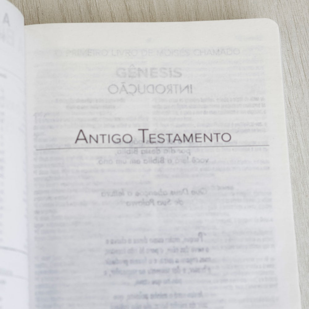 Bíblia Sagrada | ACF | Letra Normal | Capa Brochura Caminho