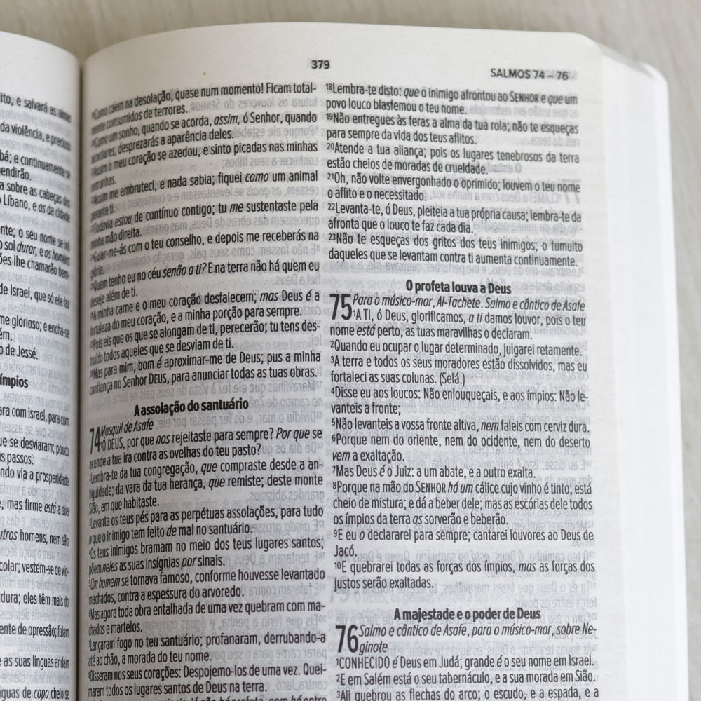 Bíblia Sagrada | ACF | Letra Normal | Capa Brochura Caminho