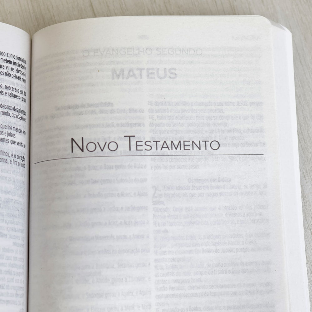 Bíblia Sagrada | ACF | Letra Normal | Capa Brochura Caminho