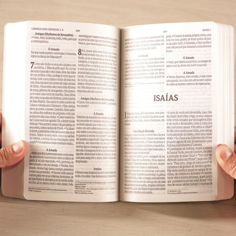 Bíblia Sagrada | NVI | Letra Grande | Capa Brochura Preta Espinhos