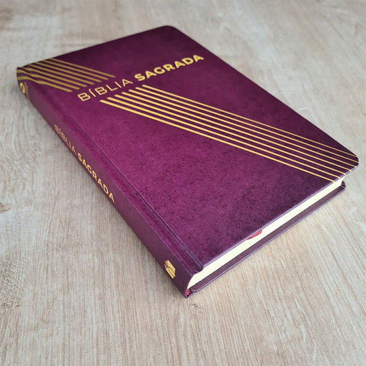 Bíblia Sagrada Linhas Douradas | NAA | Letra Normal | Capa Dura