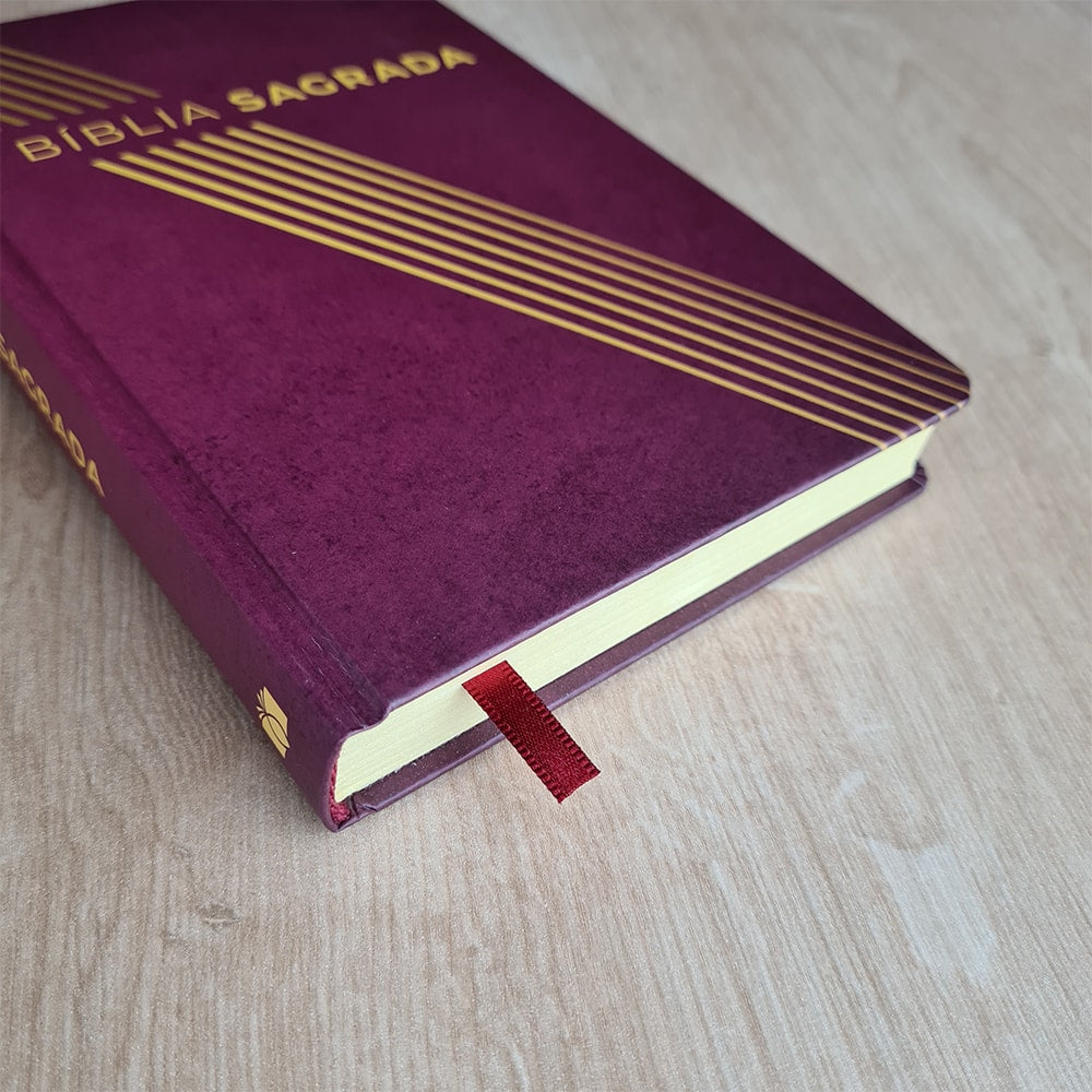 Bíblia Sagrada Linhas Douradas | NAA | Letra Normal | Capa Dura