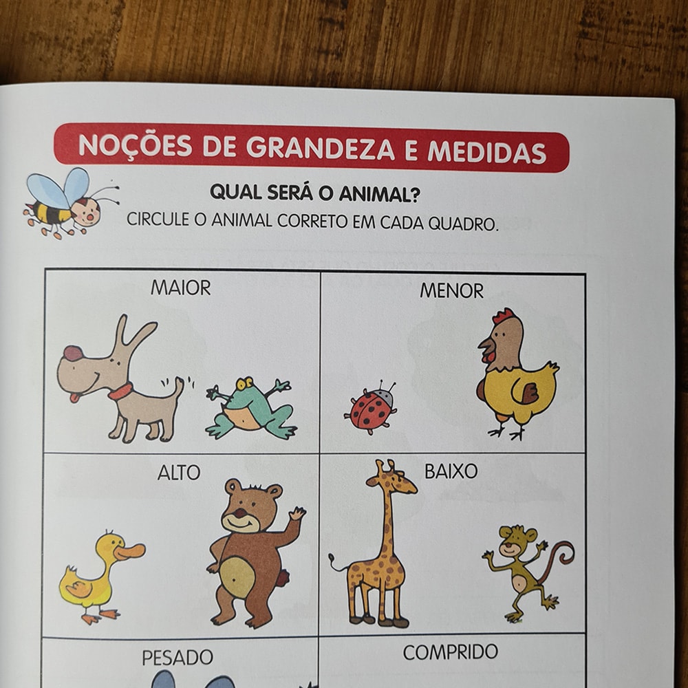 Matemática Divertida | 5 a 6 anos