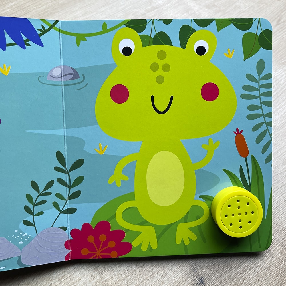 Binho Sapinho | Livro Sonoro