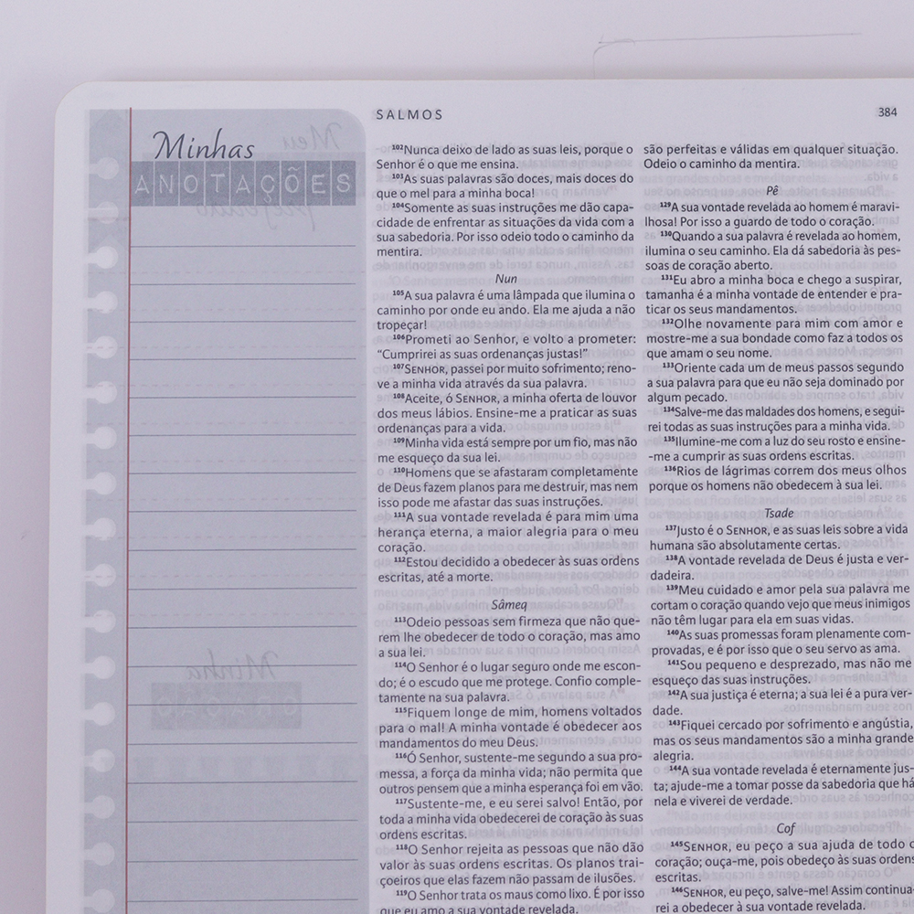 Nova Bíblia Viva Com Espaço para Anotação | Letra Normal | Capa Espiral Força e Poder